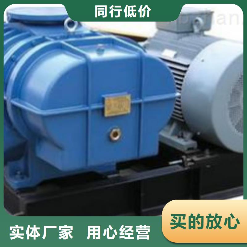 每日兩葉羅茨風機LFSR125