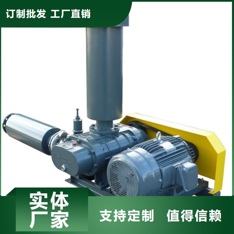 山東臨風科技股份有限公司三葉羅茨風機LFSR65