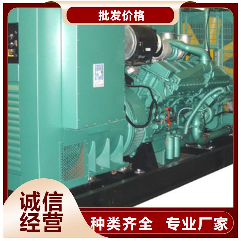 【柴油發(fā)電機(jī),發(fā)電機(jī)租賃廠家質(zhì)量上乘】