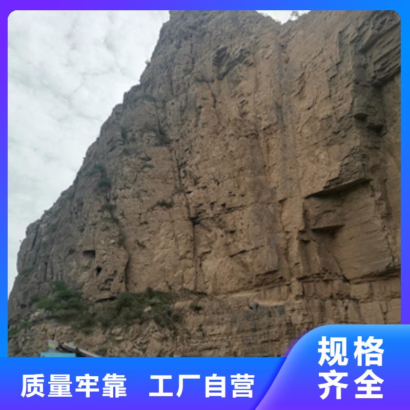 國產柴油發電機租賃立足本地