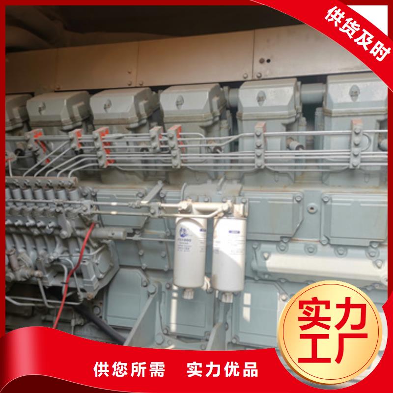 國產柴油發電機租賃省時省力