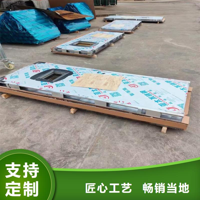 電動鉛門1000*2400mm廠家長期供應(yīng)