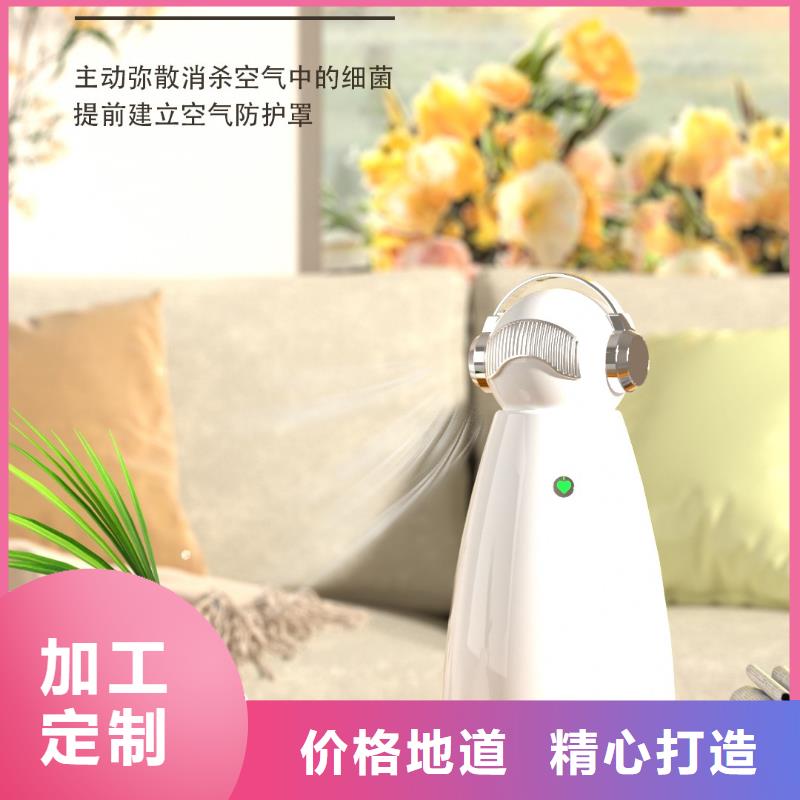【深圳】负离子空气净化器家用小白空气守护机