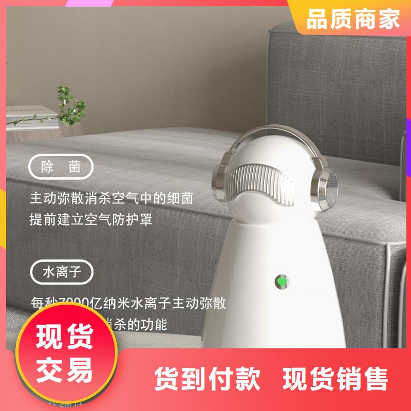 【深圳】艾森智控迷你空气净化器拿货多少钱小白空气守护机