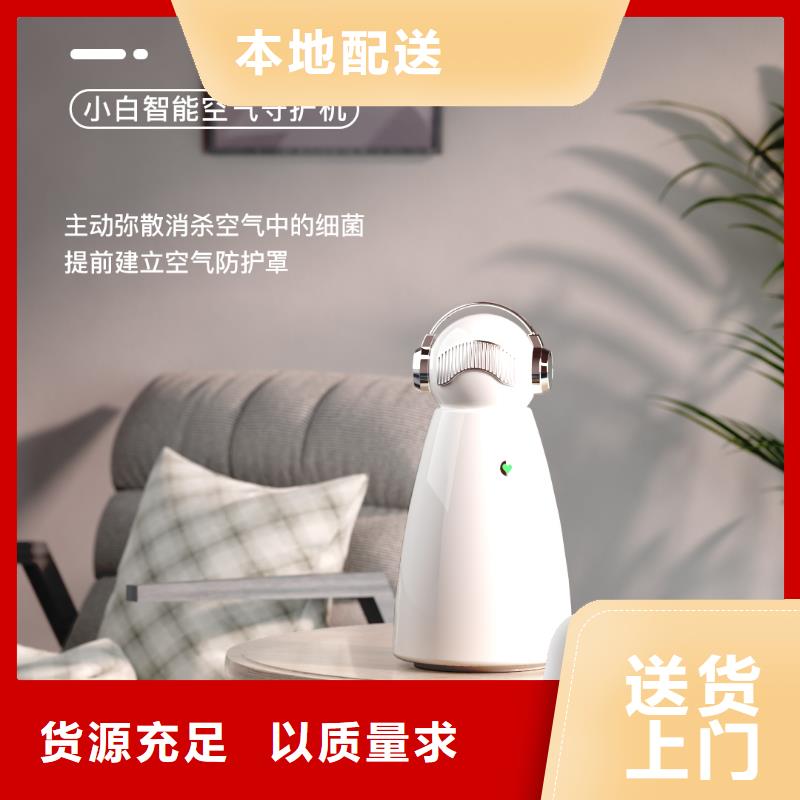 【深圳】室内空气净化器循环系统小白祛味王