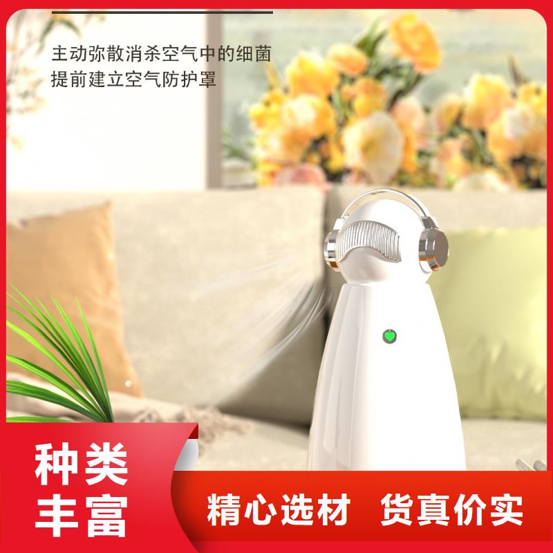 【深圳】负离子空气氧吧效果最好的产品小白空气守护机