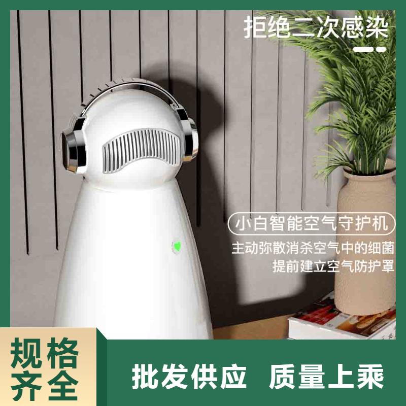 小白孕妇空气守护机小白空气守护机器人生产厂家联系厂家