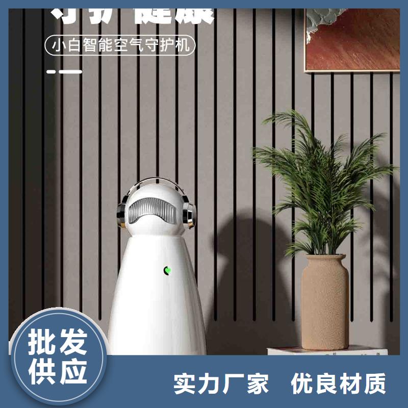 小白孕妇空气守护机小白空气守护机器人生产厂家联系厂家