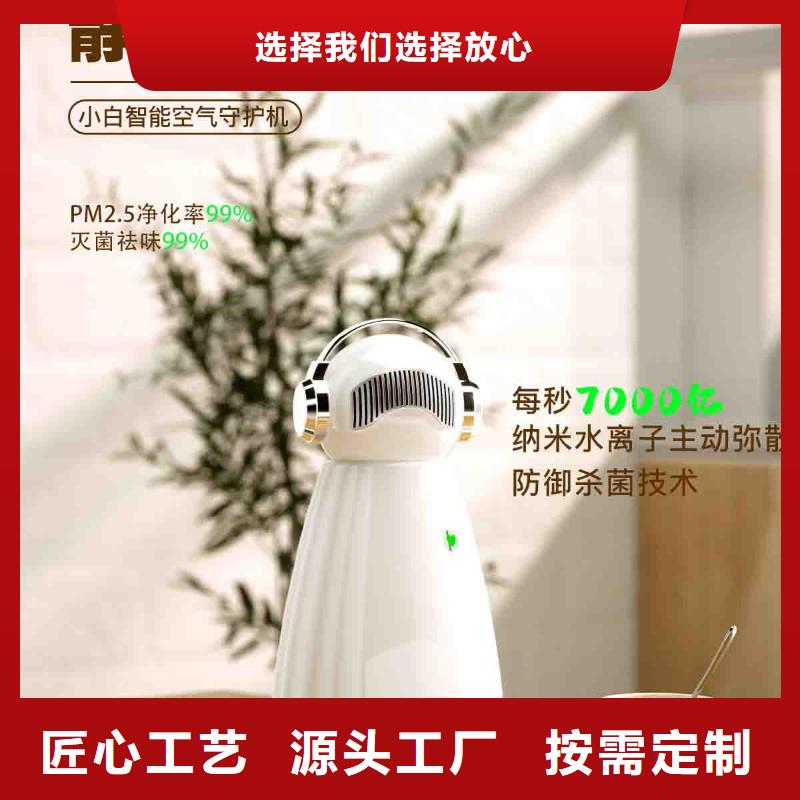 小白孕婦空氣守護(hù)機(jī)_車載空氣凈化器供應(yīng)實(shí)體廠家支持定制