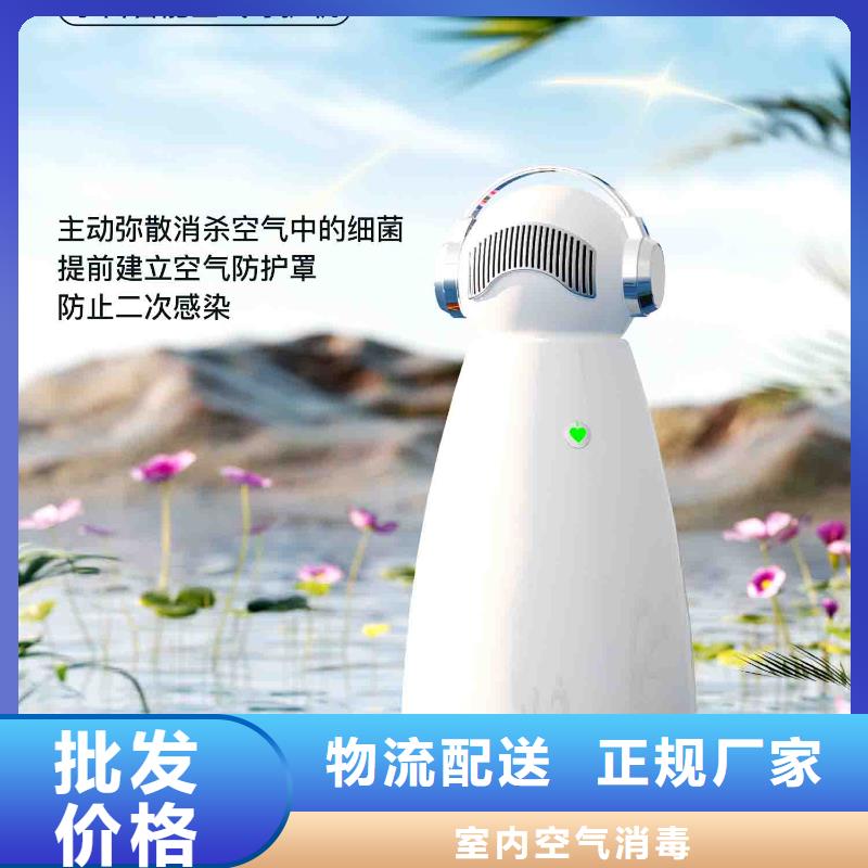 小白孕婦空氣守護機空氣凈化器企業專注質量