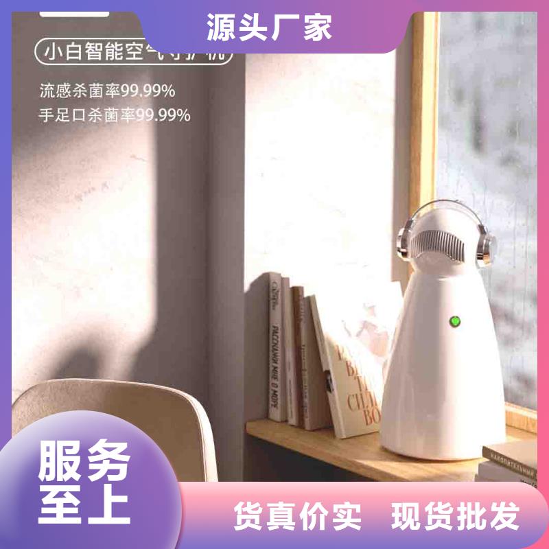小白空氣守護(hù)機(jī)車載空氣凈化器銷售多行業(yè)適用