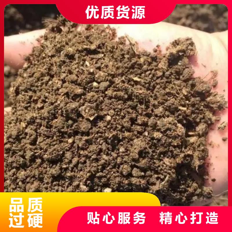 潍坊昌邑昌乐鸡粪肥效真的不错