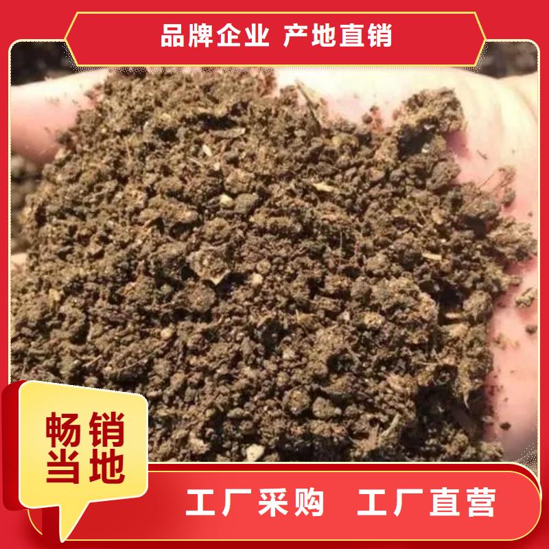 鸡粪有机肥提升土壤肥力