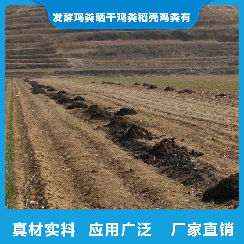 许昌当地市发酵羊粪改良蔬菜大棚地土壤