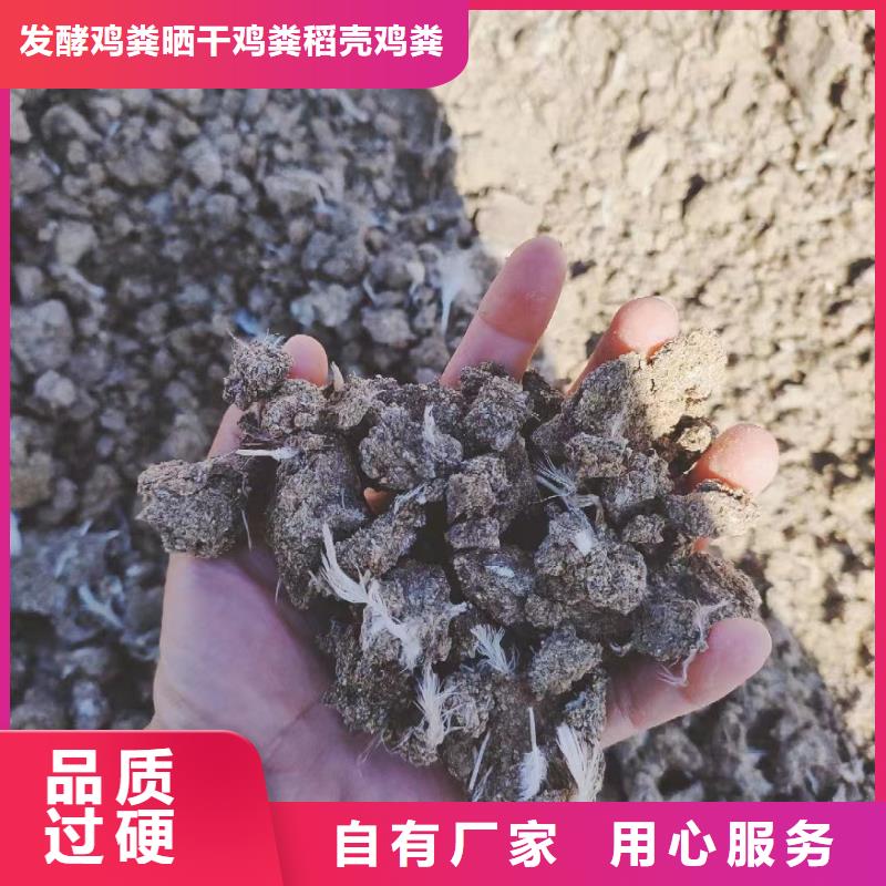 迁安羊粪助力丰收