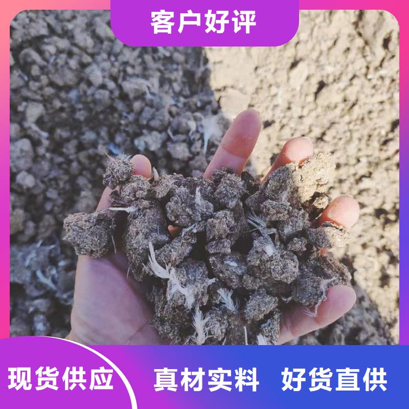 潍坊青州安丘鸡粪为农作物提供全面营养