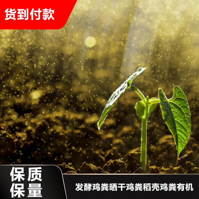 使用方法菏泽单县东明鸡粪