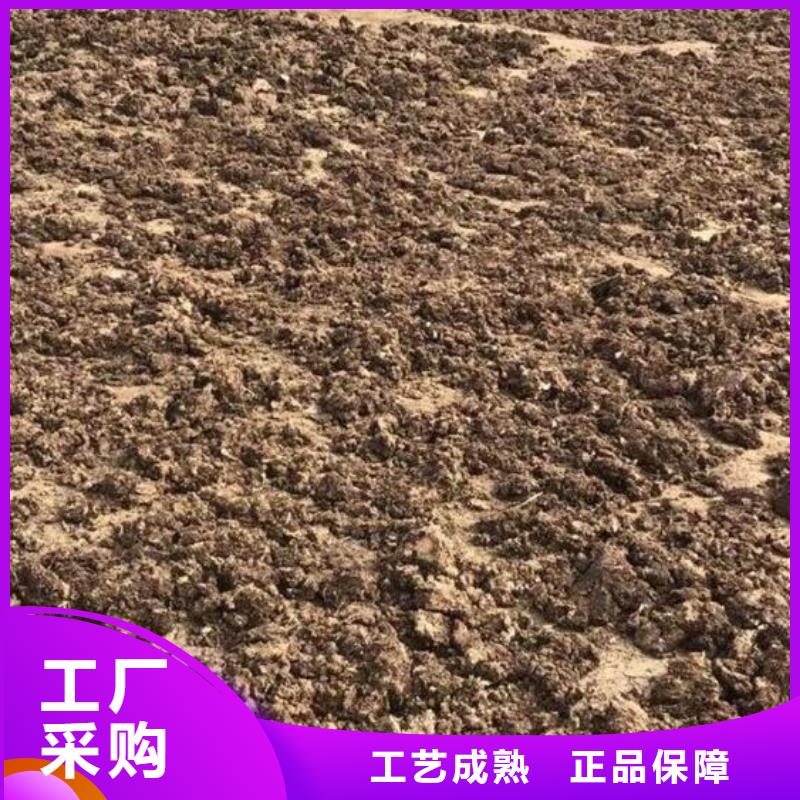 发酵羊粪改良蔬菜地土壤