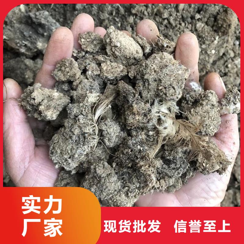 干鸡粪蔬菜大棚用好