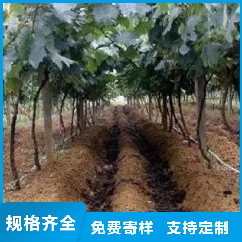高密胶州五莲鸡粪有机肥改良土壤