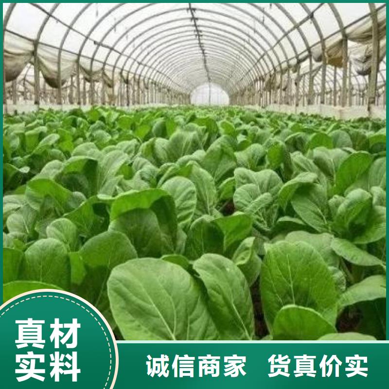 广东阳江阳西发酵有机肥林果用肥好着呢
