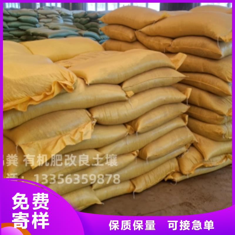 深圳市華強北街道發酵羊糞豐收的保障