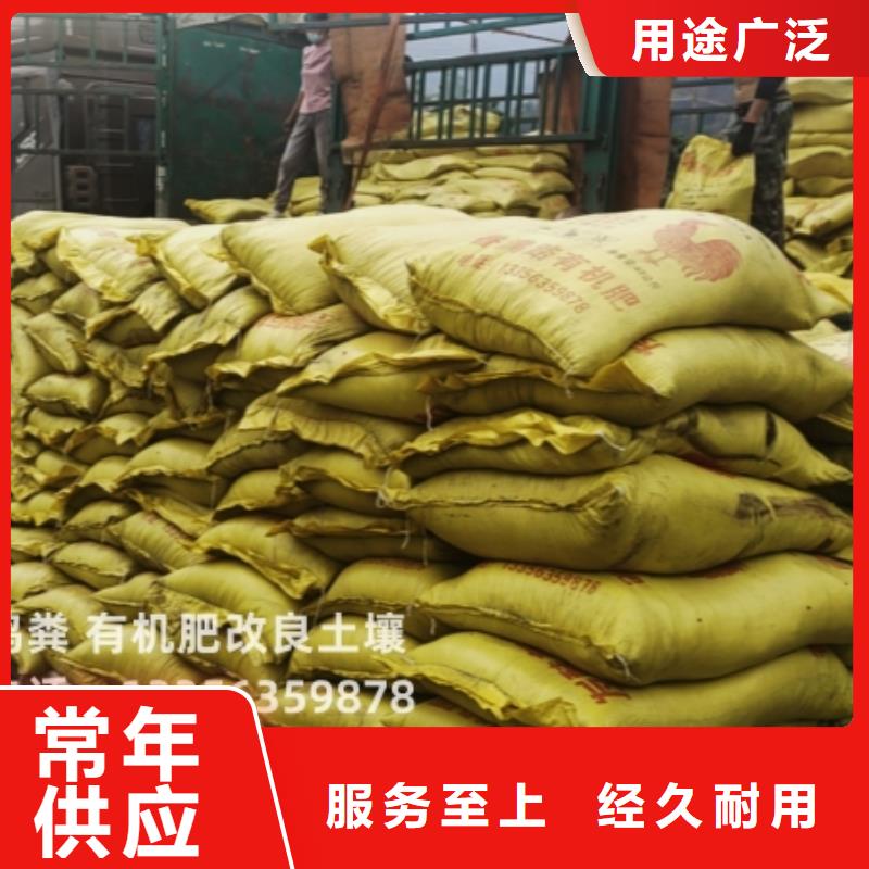 曬干雞糞施肥方法