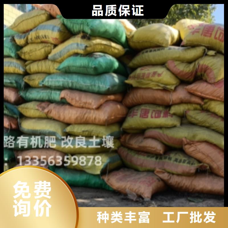 曲阜鄒城滕州干雞糞在上看到的