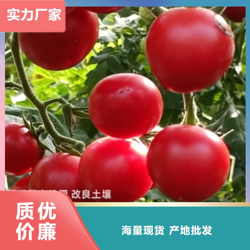 稻壳鸡粪改良土壤