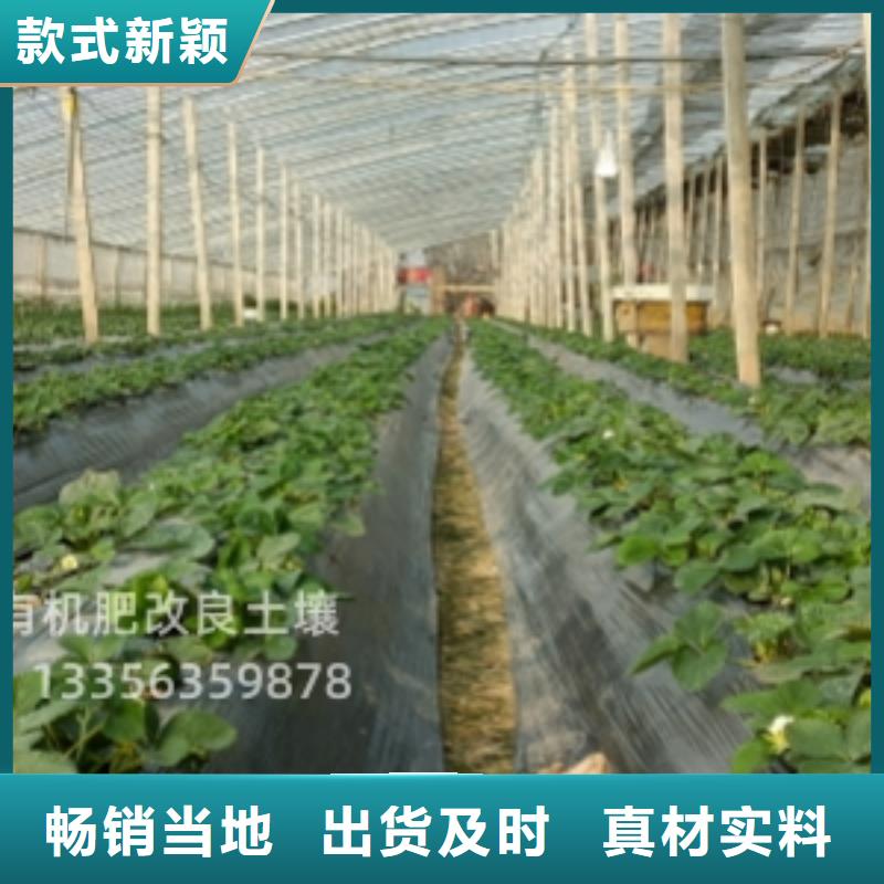雞糞有機肥良心肥