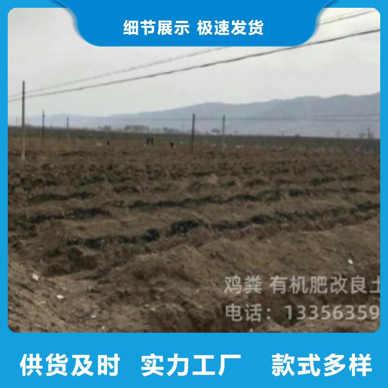 晒干鸡粪座果率高
