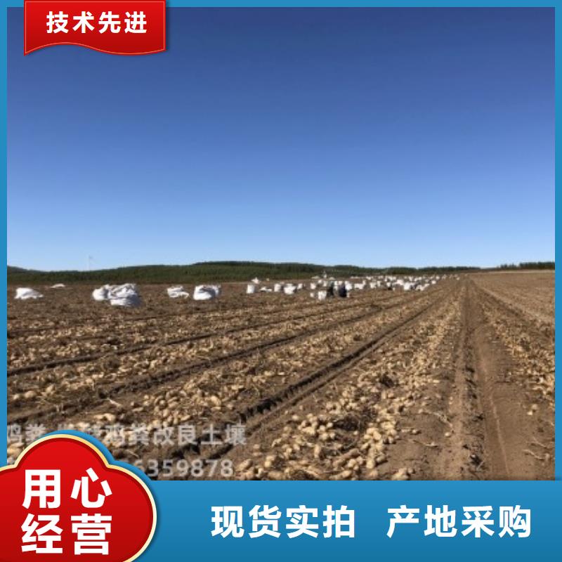 干雞糞塊好肥料