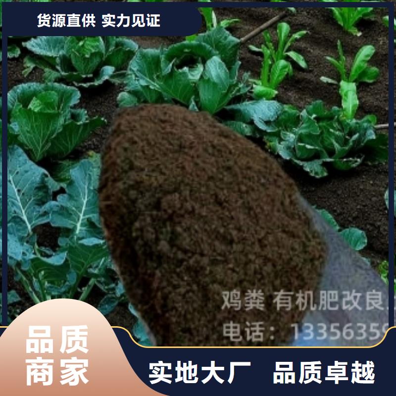 发酵羊粪植树造林好肥料