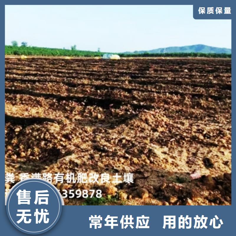 發(fā)酵羊糞供應商