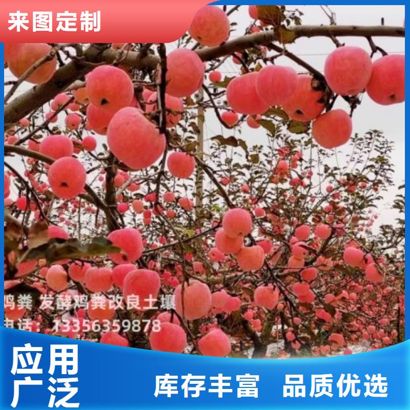 撫寧羊糞有機肥咋賣