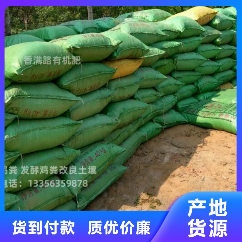 发酵羊粪植树造林好肥料