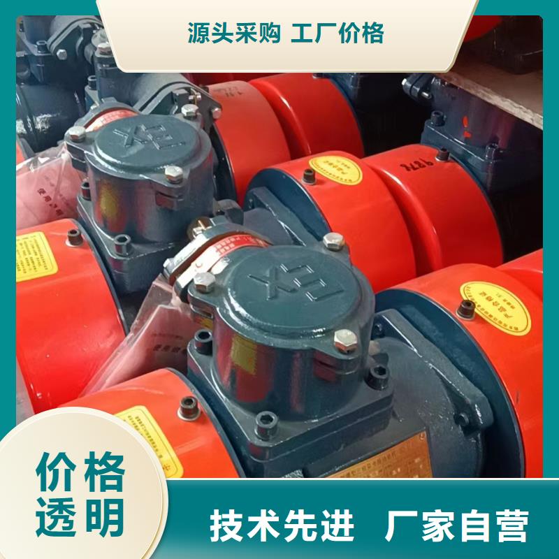 振動(dòng)電機(jī)工作原理質(zhì)量?jī)?yōu)振動(dòng)電機(jī)行業(yè)一哥