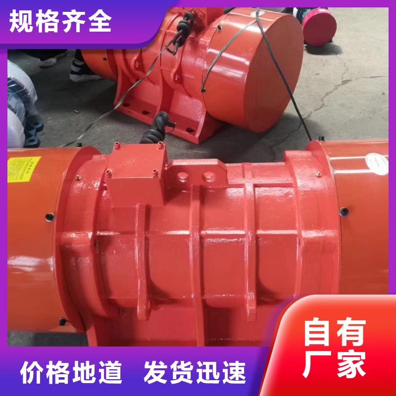 銷售YZO-12-6振動電機_優(yōu)質(zhì)廠家