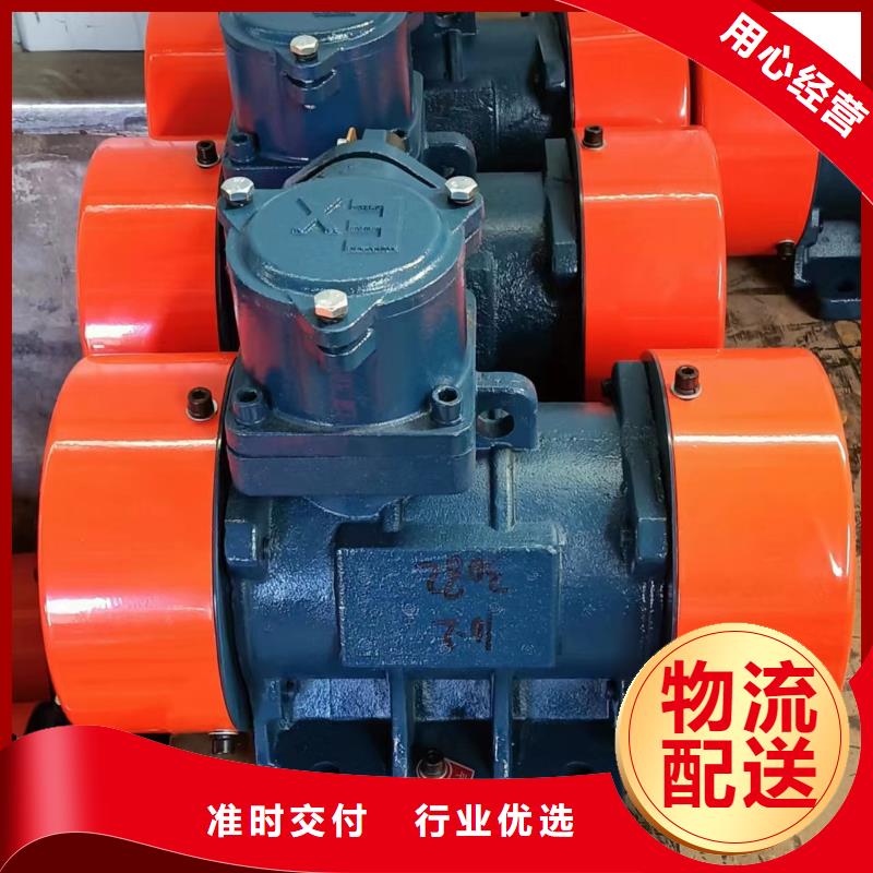 BZD防爆振動電機實力廠家生產