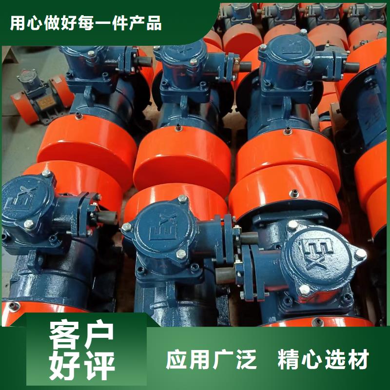 桐鄉(xiāng)隔爆振動電機化工防爆振動電機品質保證