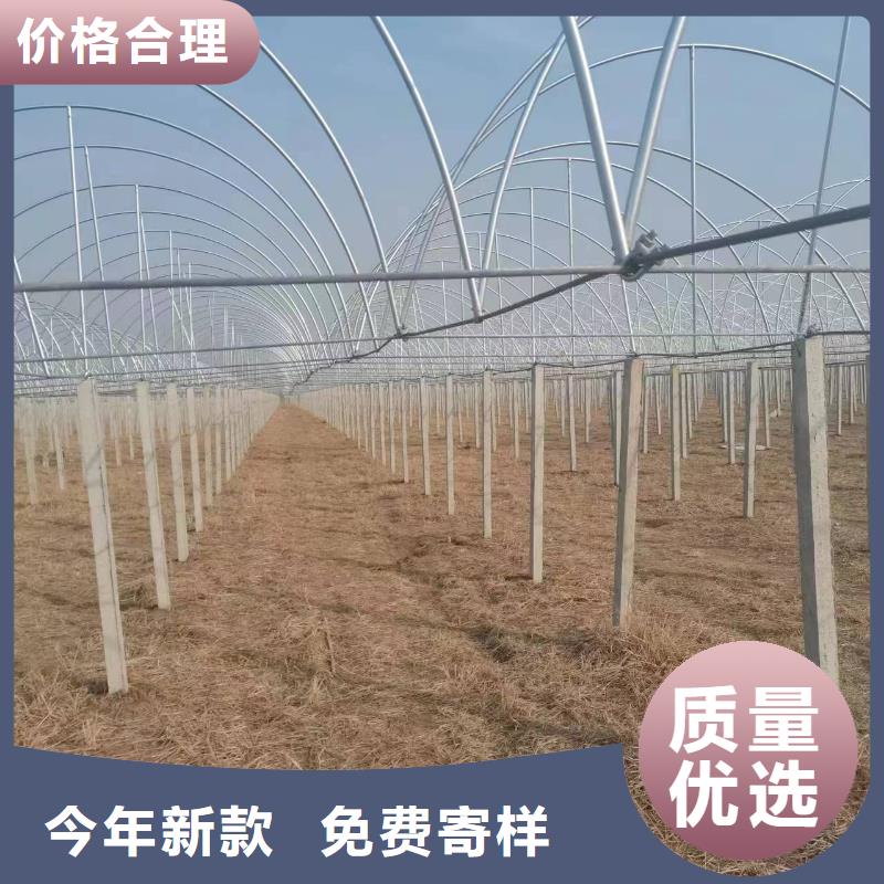溫室大棚【溫室大棚滴灌設備】專注細節(jié)使用放心