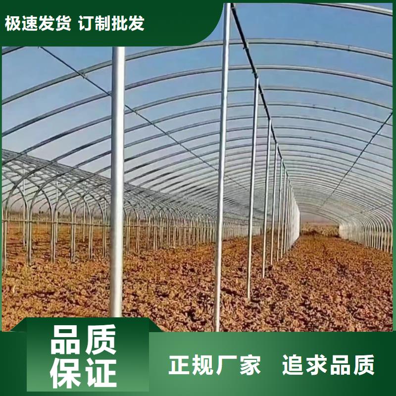 溫室大棚-太陽能光伏支架免費詢價