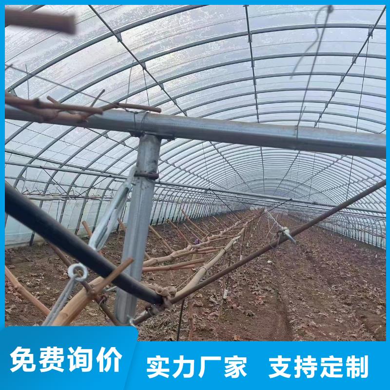 溫室大棚,溫室大棚水肥一體機采購