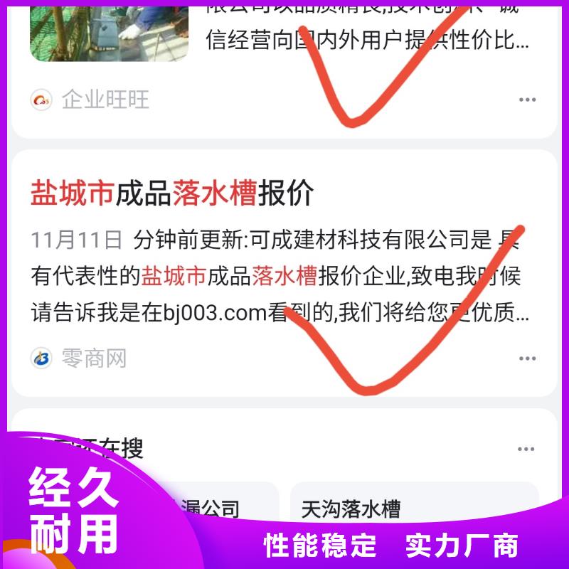 关键词排名十年服务经验