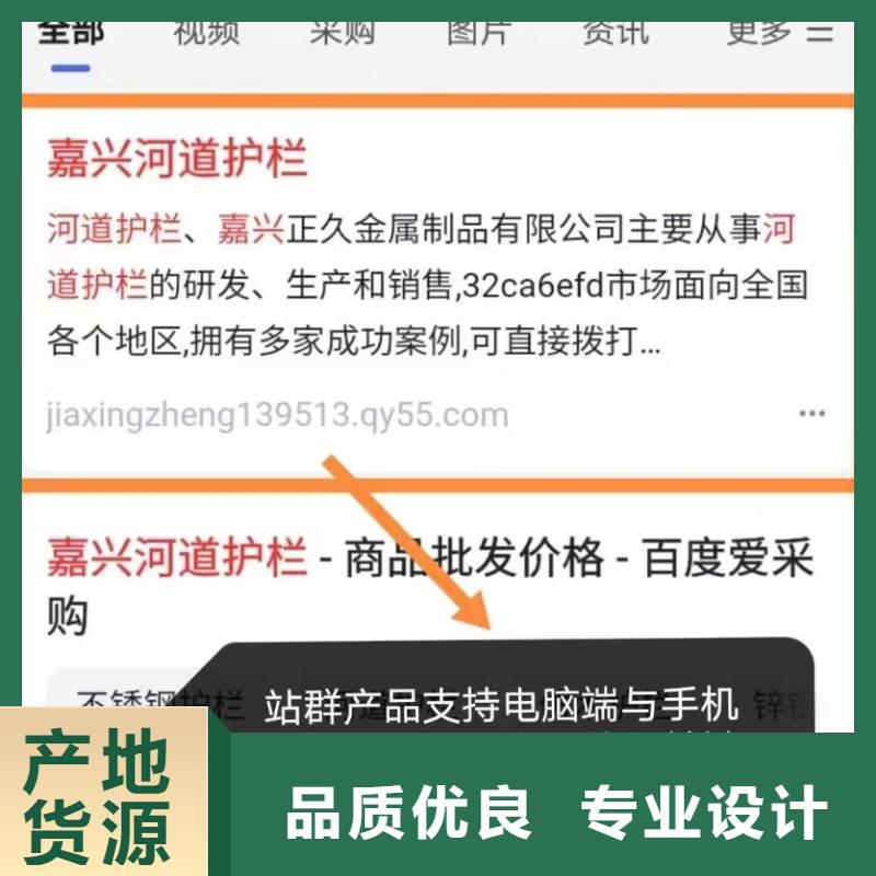 软件网站制作开发量身定做营销方案