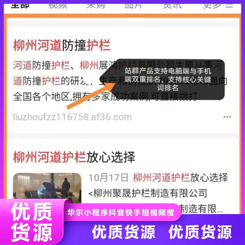 软件网站制作开发可看效果报表