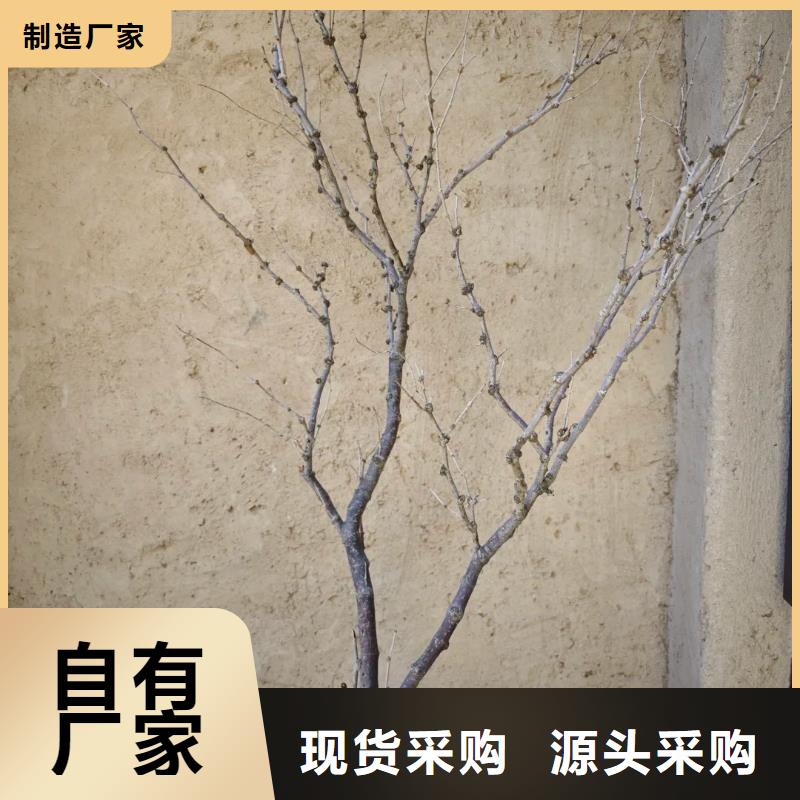 民宿稻草漆施工隊伍