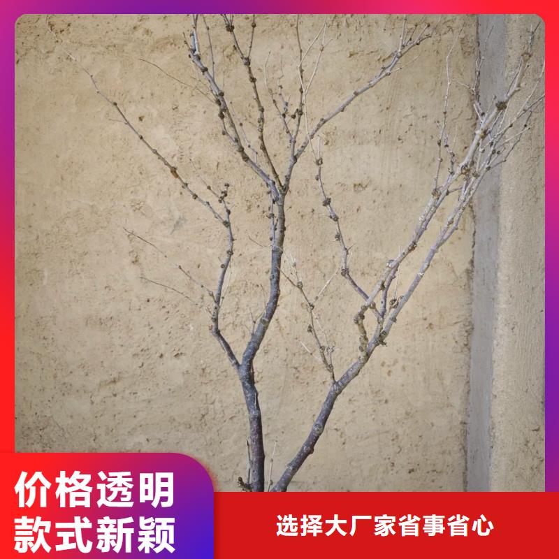 乡村建设稻草漆专业施工，源头工厂