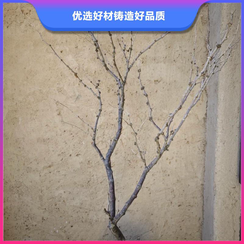 民宿改造稻草漆生產(chǎn)廠家，批發(fā)價，可施工