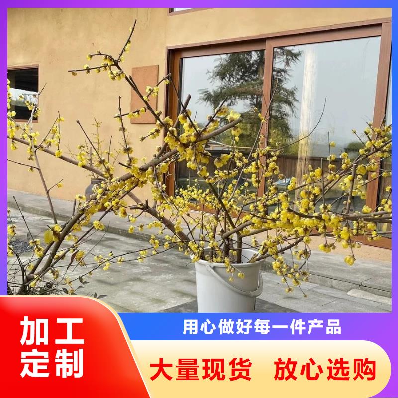 稻草泥專業施工，源頭工廠